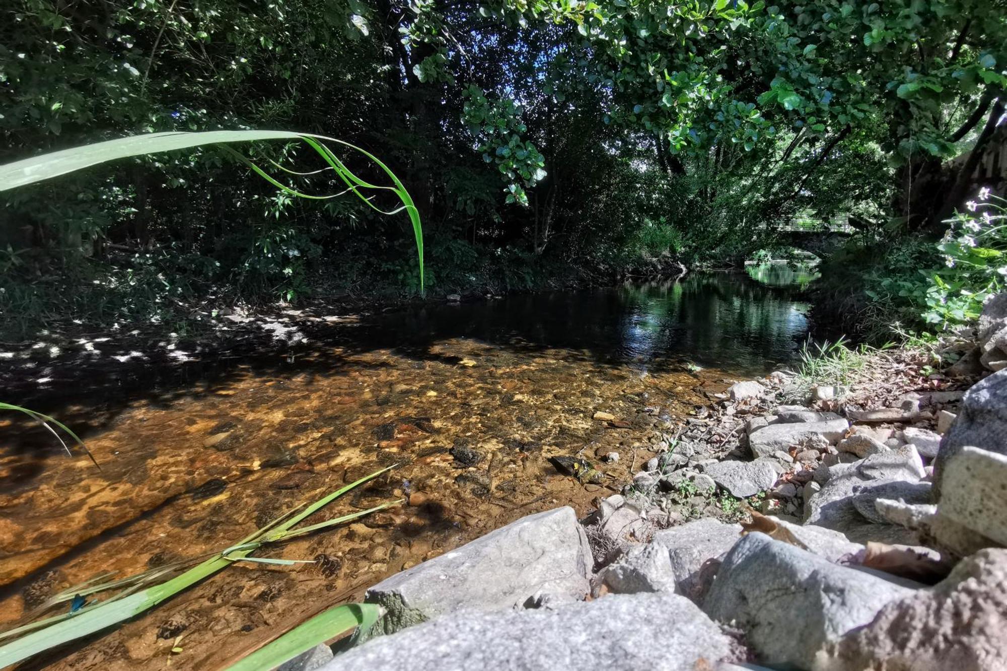 Gite Du Moulin Toucan Berneuil  Екстер'єр фото